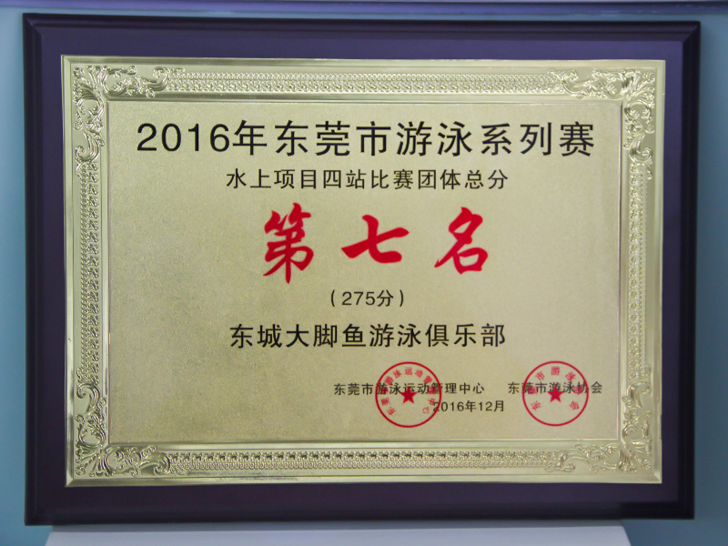 2016年东莞市游泳系列赛第七名